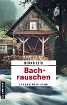 Bernd Leix - Bachrauschen