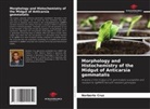 Norberto Cruz - Morphology and Histochemistry of the Midgut of Anticarsia gemmatalis
