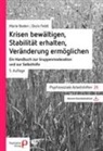 Marie Boden, Doris Feldt - Krisen bewältigen, Stabilität erhalten, Veränderung ermöglichen