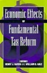 Henry Aaron, Aaron Henry, William G. Gale, Gale William G. - Economic Effects of Fundamental Tax Reform
