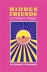 The Carmelites of Indianapolis - Hidden Friends