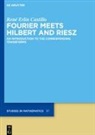 René Erlin Castillo - Fourier Meets Hilbert and Riesz