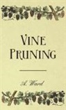 Frederic T. Bioletti - Vine Pruning