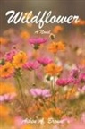 Aiken A. Brown - Wildflower