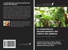 Maria Viviane Palmeira Da Costa, Camila Tainá Dos Santos Rocha, Joelma Pereira Da Silva - La importancia socioeconómica del cultivo del plátano