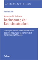 Irena Schauer, Irene Schauer - Behinderung der Betriebsratsarbeit