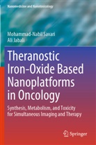 Ali Jabali, Mohammad-Nabil Savari - Theranostic Iron-Oxide Based Nanoplatforms in Oncology