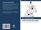 Juan Carlos Cozatl Cabrera - Untersuchung des Bildes