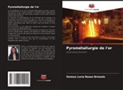 Vanesa Lucia Bazan Brizuela - Pyrométallurgie de l'or