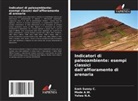 Mode A. W., Mode A.W., Yelwa N. A., Yelwa N.A., Ezeh Sunny C. - Indicatori di paleoambiente: esempi classici dall'affioramento di arenaria