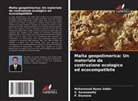 P. Elumalai, V. Saraswathy, Mohammad Nyme Uddin - Malta geopolimerica: Un materiale da costruzione ecologico ed ecocompatibile