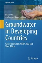 Shakir Ali, Negm, Abdelazim Negm - Groundwater in Developing Countries