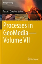 Tatiana Chaplina - Processes in GeoMedia-Volume VII