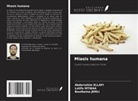 Abderrahim Ellafi, Boutheina Jemli, Latifa Mtibaa - Miasis humana