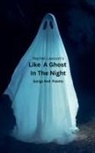 Rachel Lawson - Like A Ghost In The Night