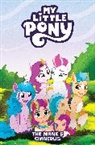 Celeste Bronfman, Abby Bulmer, Casey Gilly, Amy Mebberson, Stephan Williams, Stephanie Williams - My Little Pony: The Mane 5 Omnibus