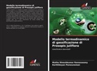 Karthikeyan Parasuraman, Muthu Dineshkumar Ramaswamy - Modello termodinamico di gassificazione di Prosopis juliflora