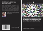 Camila Wilke Prochnow - Constelaciones sistémicas y resolución de conflictos en el derecho de familia