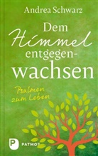 Andrea Schwarz - Dem Himmel entgegenwachsen