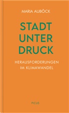 Maria Auböck - Stadt unter Druck