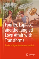 Sofen Kumar Jena - Fourier, Laplace, and the Tangled Love Affair with Transforms