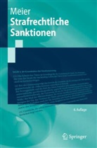 Bernd-Dieter Meier - Strafrechtliche Sanktionen