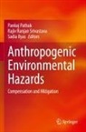 Sadia Ilyas, Pankaj Pathak, Rajiv Ranjan Srivastava, Rajiv Ranjan Srivastava - Anthropogenic Environmental Hazards