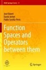 José Bonet, David Jornet, Pablo Sevilla-Peris - Function Spaces and Operators between them
