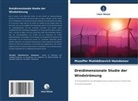 Muzaffar Muhiddinovich Hamdamov - Dreidimensionale Studie der Windströmung