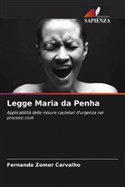 Fernanda Zomer Carvalho - Legge Maria da Penha