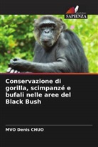 MVO Denis CHUO - Conservazione di gorilla, scimpanzé e bufali nelle aree del Black Bush