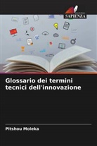 Pitshou Moleka - Glossario dei termini tecnici dell'innovazione