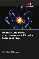 Abdelhafid Mimouni - Immersione della spettroscopia XAS nella bioinorganica