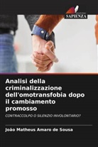 João Matheus Amaro de Sousa - Analisi della criminalizzazione dell'omotransfobia dopo il cambiamento promosso