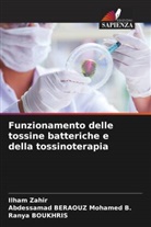 Ranya Boukhris, Abdessamad BERAOUZ Mohamed  B., Abdessamad BERAOUZ Mohamed B., Ilham Zahir - Funzionamento delle tossine batteriche e della tossinoterapia