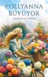 Eleanor H. Porter - Pollyanna Büyüyor