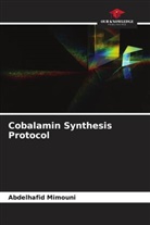 Abdelhafid Mimouni - Cobalamin Synthesis Protocol