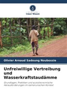Olivier Arnaud Sadoung Noubossié - Unfreiwillige Vertreibung und Wasserkraftstaudämme