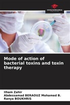 Ranya Boukhris, Abdessamad BERAOUZ Mohamed  B., Abdessamad BERAOUZ Mohamed B., Ilham Zahir - Mode of action of bacterial toxins and toxin therapy