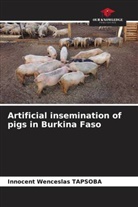 Innocent Wenceslas TAPSOBA - Artificial insemination of pigs in Burkina Faso