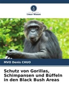 Mvo Denis Chuo - Schutz von Gorillas, Schimpansen und Büffeln in den Black Bush Areas