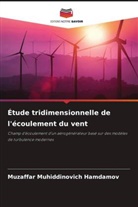 Muzaffar Muhiddinovich Hamdamov - Étude tridimensionnelle de l'écoulement du vent