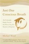 Michael Wood - Just One Conscious Breath