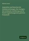 Wilhelm Scholz - Amputation und Resection bei Gelenksverletzungen: ihre Anzeigen, ihre technische Ausführung und ihr Werth Vergleichungsweise: gekrönte Preisschrift