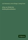 Anton Elfinger, Carl Heitzmann, Ludwig Türck - Atlas zur Klinik der Kehlkopfkrankheiten