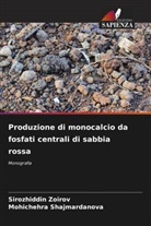 Mohichehra Shajmardanova, Sirozhiddin Zoirov - Produzione di monocalcio da fosfati centrali di sabbia rossa