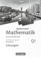 Anton Bigalke, Norbert Köhler, Horst Kuschnerow, Gabriele Ledworuski, Anton Bigalke, Norbert Köhler - Bigalke/Köhler: Mathematik - Hessen - Ausgabe 2016 - Grundkurs 1. Halbjahr