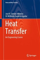 Jose Roberto Simoes Moreira, José R Simões-Moreira, José R. Simões-Moreira, Elí Wilfr Zavaleta Aguilar, Elí Wilfredo Zavaleta Aguilar, Elí Zavaleta-Aguilar... - Heat Transfer