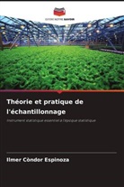 Ilmer Condor Espinoza - Théorie et pratique de l'échantillonnage