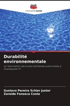 Zoraide Fonseca Costa, Gustavo Pereira Schier Junior - Durabilité environnementale